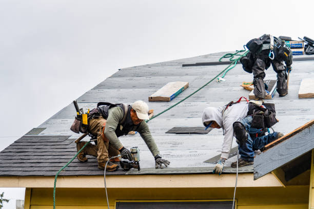 Professional Emergency Roof Repair technician working in Trilby, FL